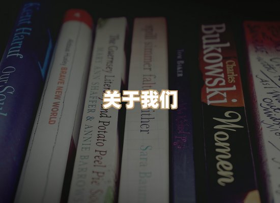 关于选弦电子书